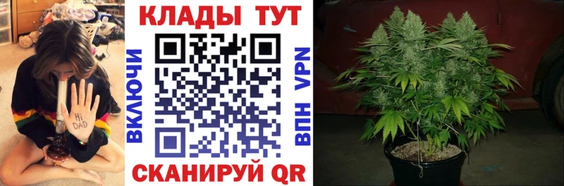 Альфа ПВП Салехард