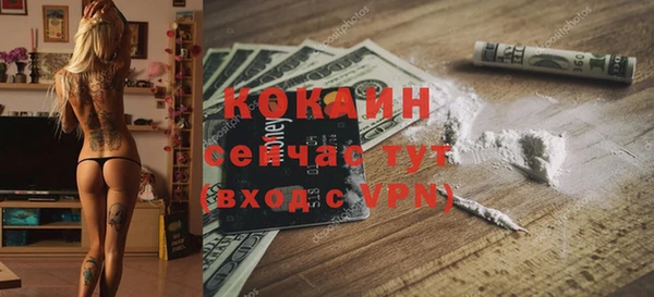 хмурый Михайлов